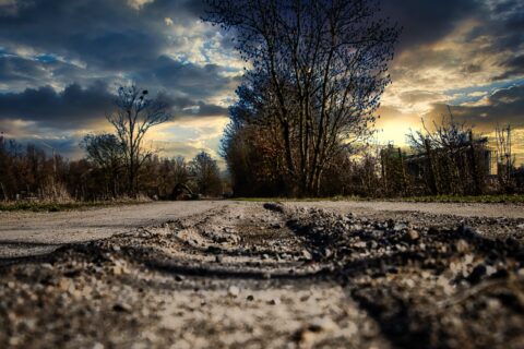 Feldweg am Seerosenteich – KW10/26