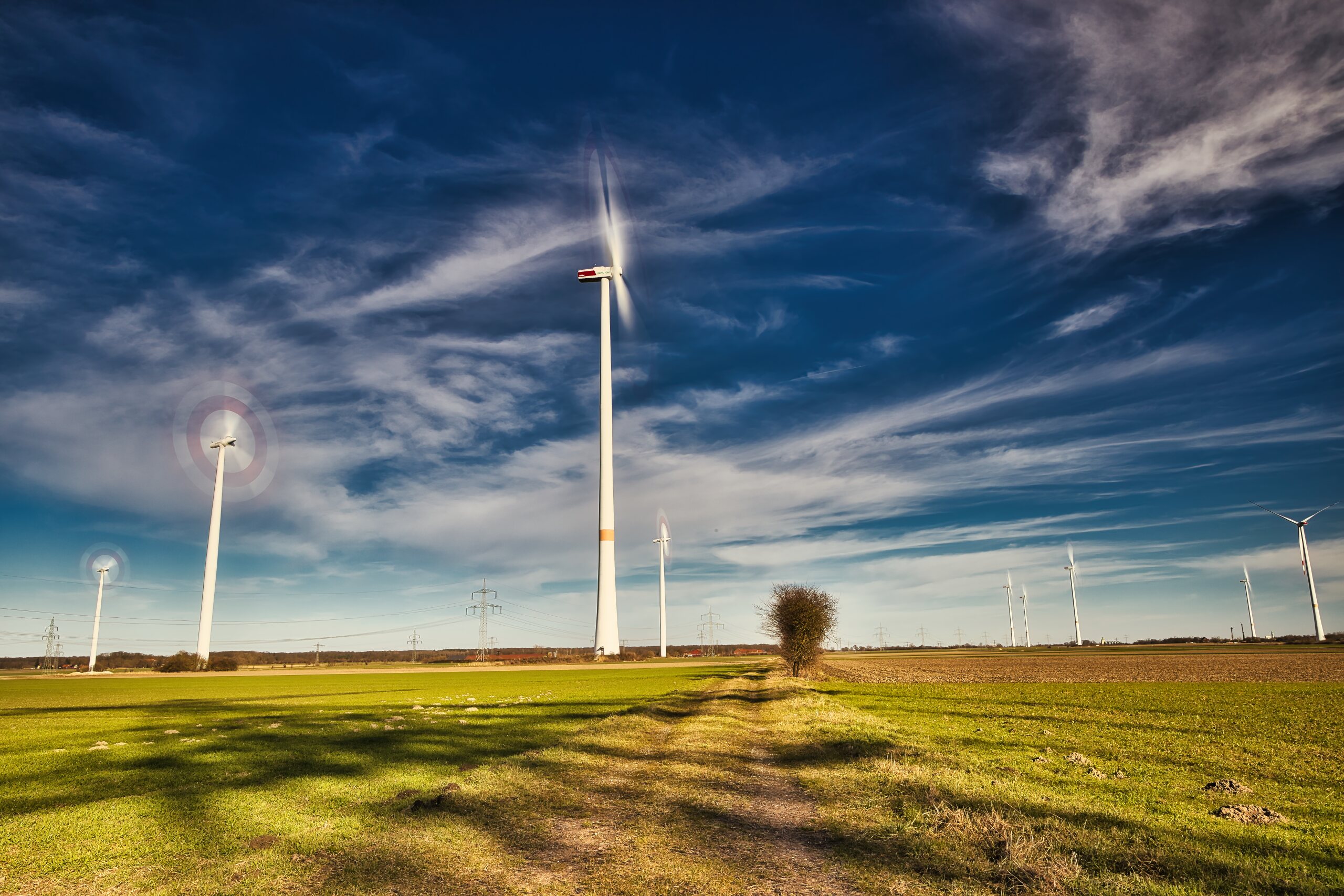 Einfach Wind im Spiel – KW10/26