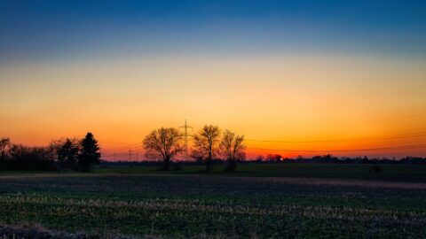 Feldlandschaft im Frühlicht – KW10/26