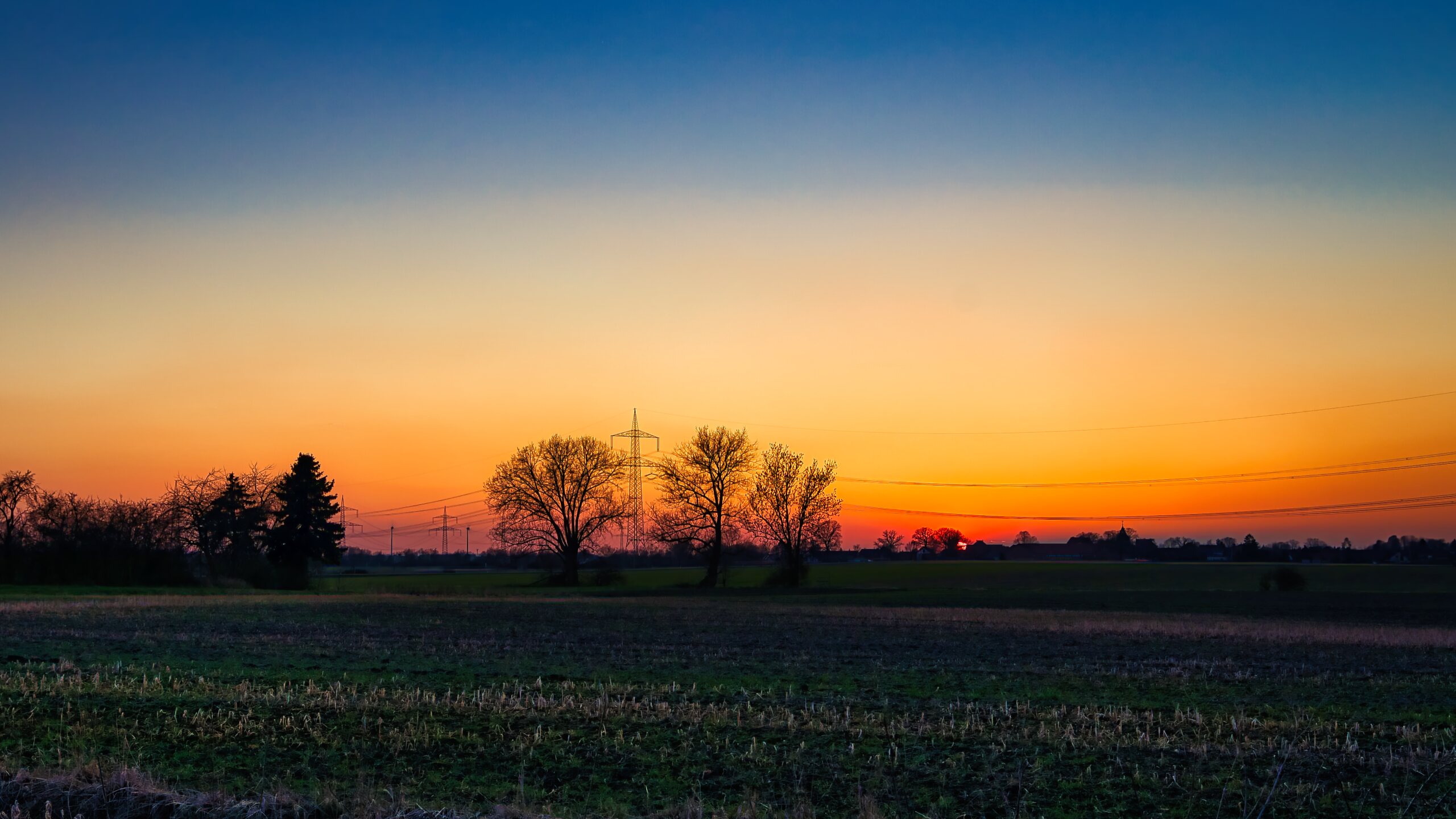 Feldlandschaft im Frühlicht – KW10/26