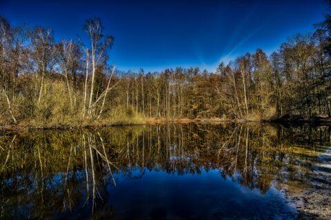 Stille am Seerosenteich – KW10/26