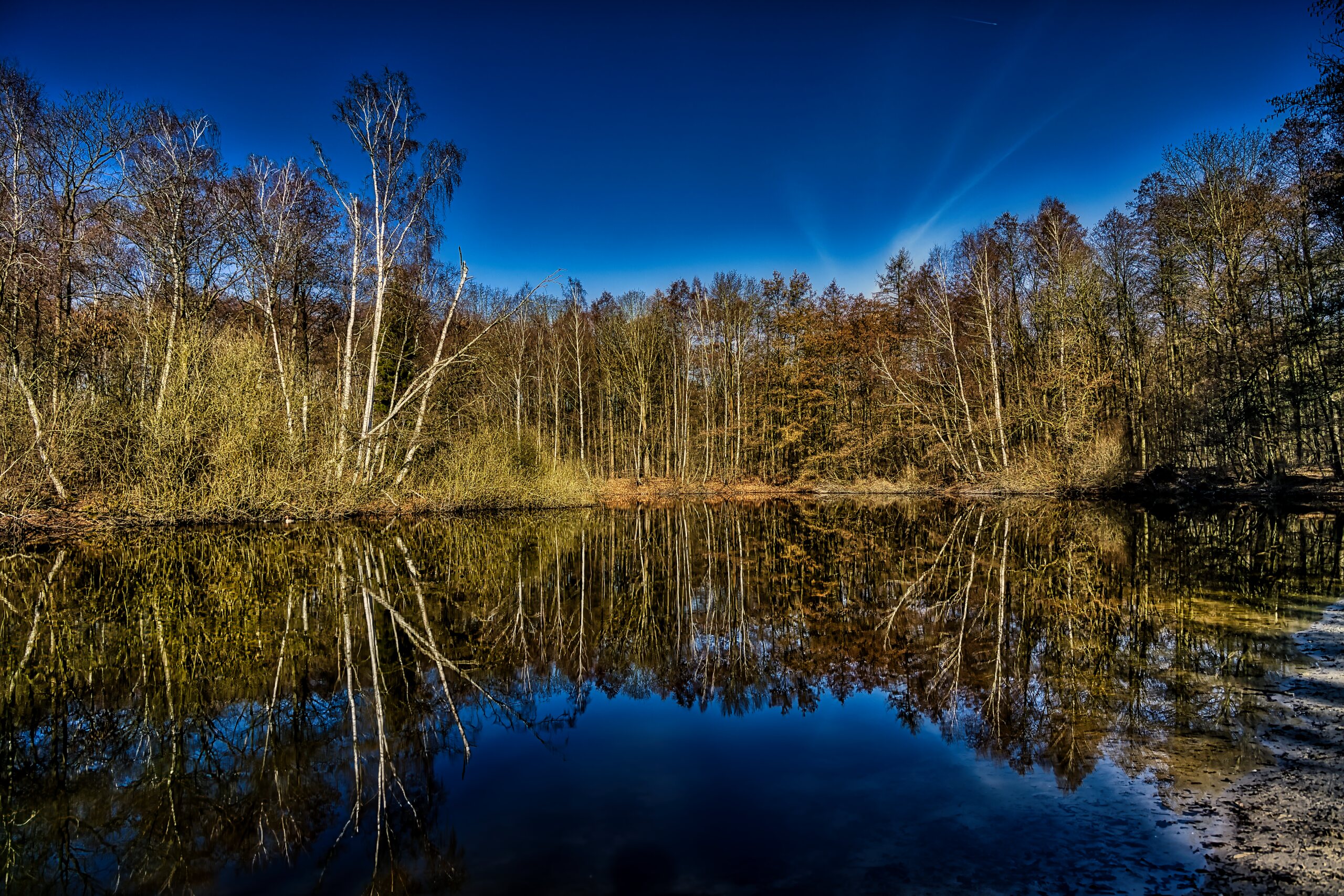 Stille am Seerosenteich – KW10/26