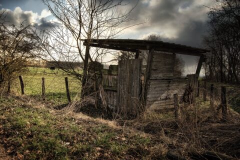 Alter Unterstand am Rande – KW11/26