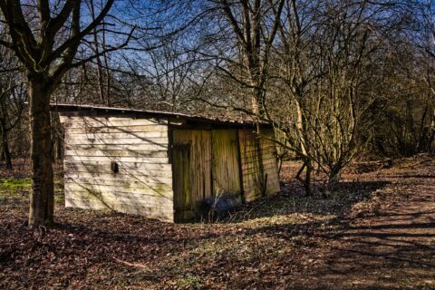 Holzbau im Naturlicht – KW11/26
