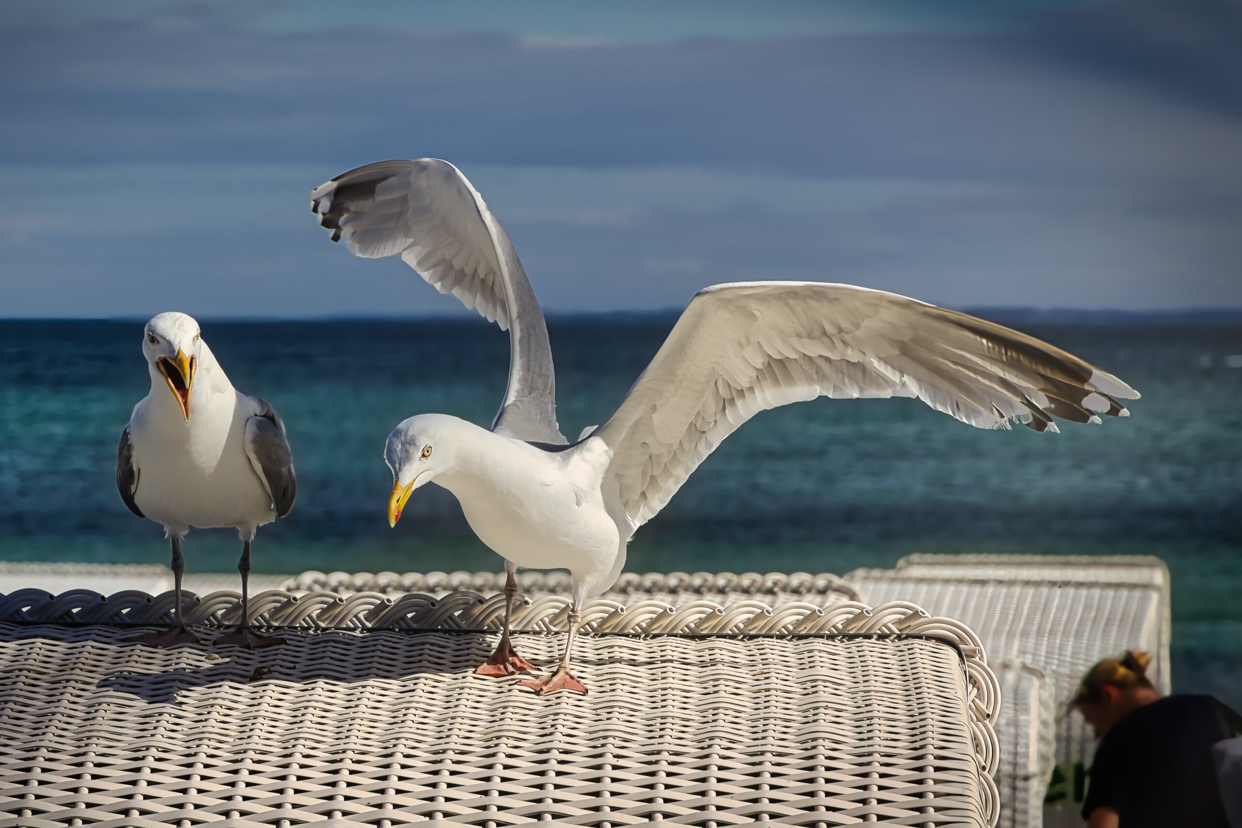 Der Anflug – KW30/26